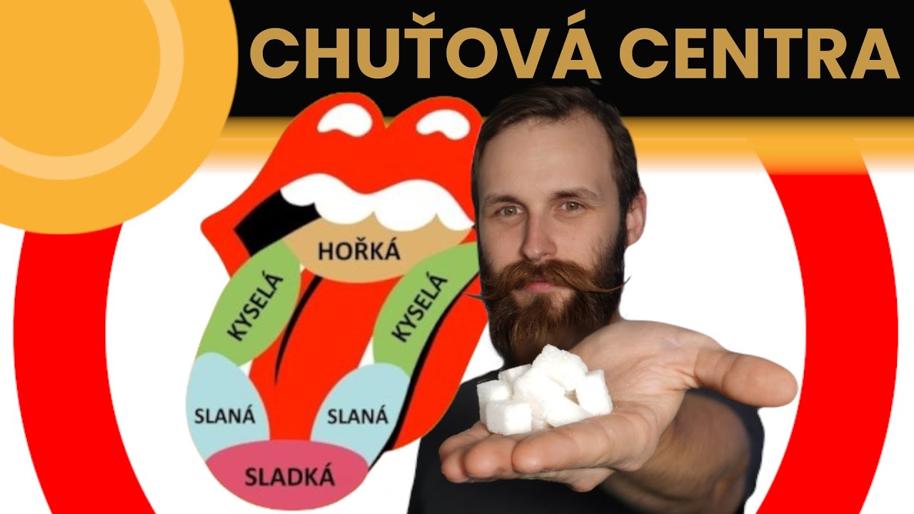Jak je to s chuťovými centry na našem jazyku?