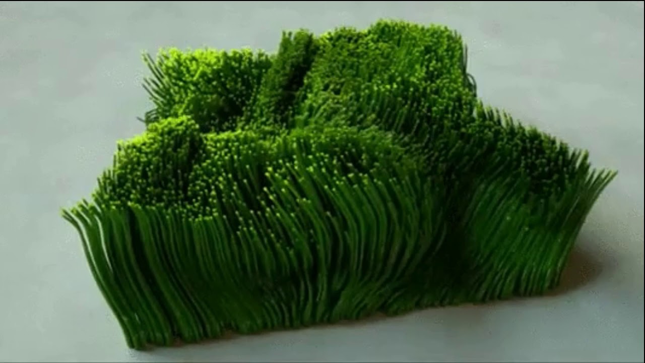 ежик в профиль. белогрудый еж. еж на зеленом фоне. кактус с ежиком. арт ёжик зеленый.