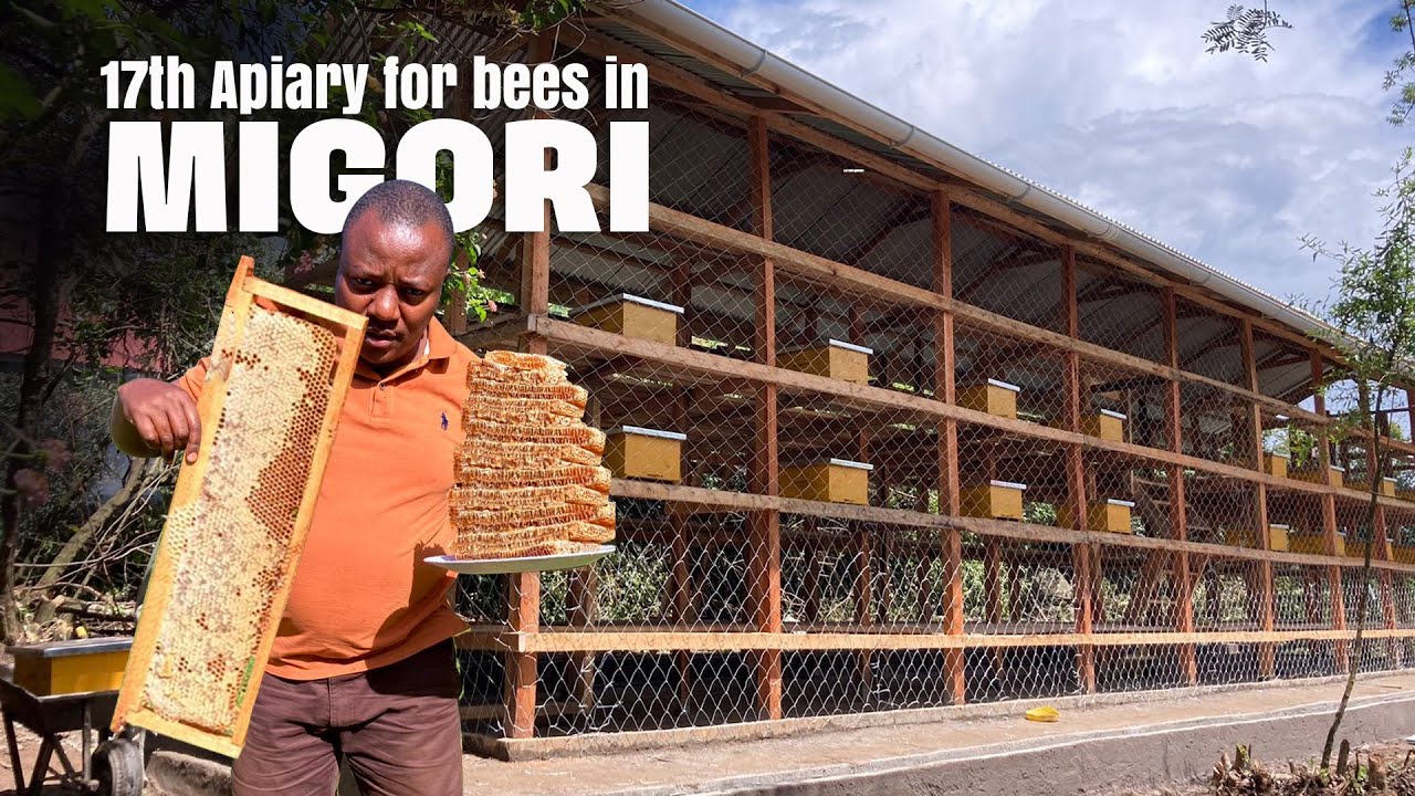 Unbelievable High Returns: Step by Step in making a bee house to hold 200 hives