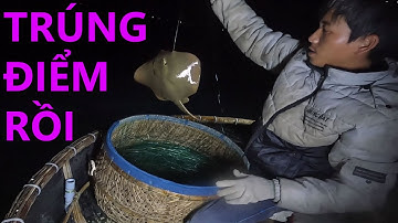 Giăng Câu Đêm - Dính Cá Đuối Siêu To - Chuột Miền Biển