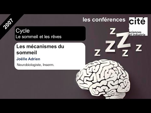 Les mécanismes du sommeil