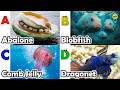 Learn Ocean Animal Names | ABC Sea Animals song | Most Popular Sea Creatures | Alphabets Kids Song