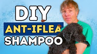 DIY  NATURAL Anti-Flea Shampoo