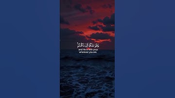 ا🌿لقرآن الكريم🌿 ||تلاوة خاشعة تريح القلب ❤️