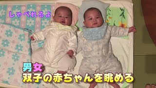 【生後４ヵ月２日】男女双子の赤ちゃんの様子【育児Vlog】Cute and Funny Twin Babies Video.