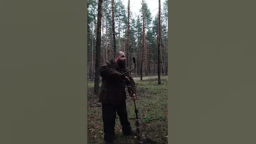 Как я медведя пробурил в лесу...