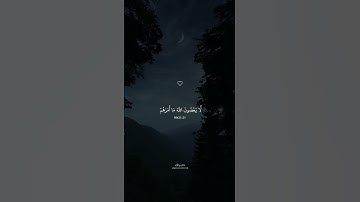 تلاوة خاشعة جميلة بصوت القارئ الشيخ ماهر المعيقلي ارح سمعك .