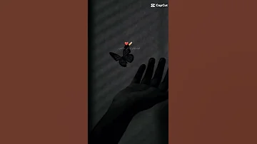 والاتنسينا من ناس كانوا غلين علينا 
