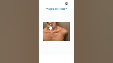 English quiz challenge part 890 #quiz