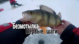 Ловля на мормышку. Первые шаги в безмотылке.Ловля окуня.