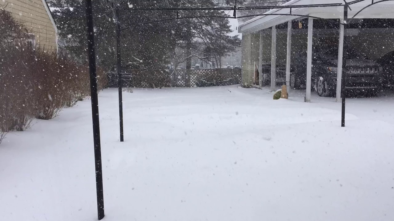 28 Jan 2019 snow storm timelapse, Ypsilanti, MI YouTube