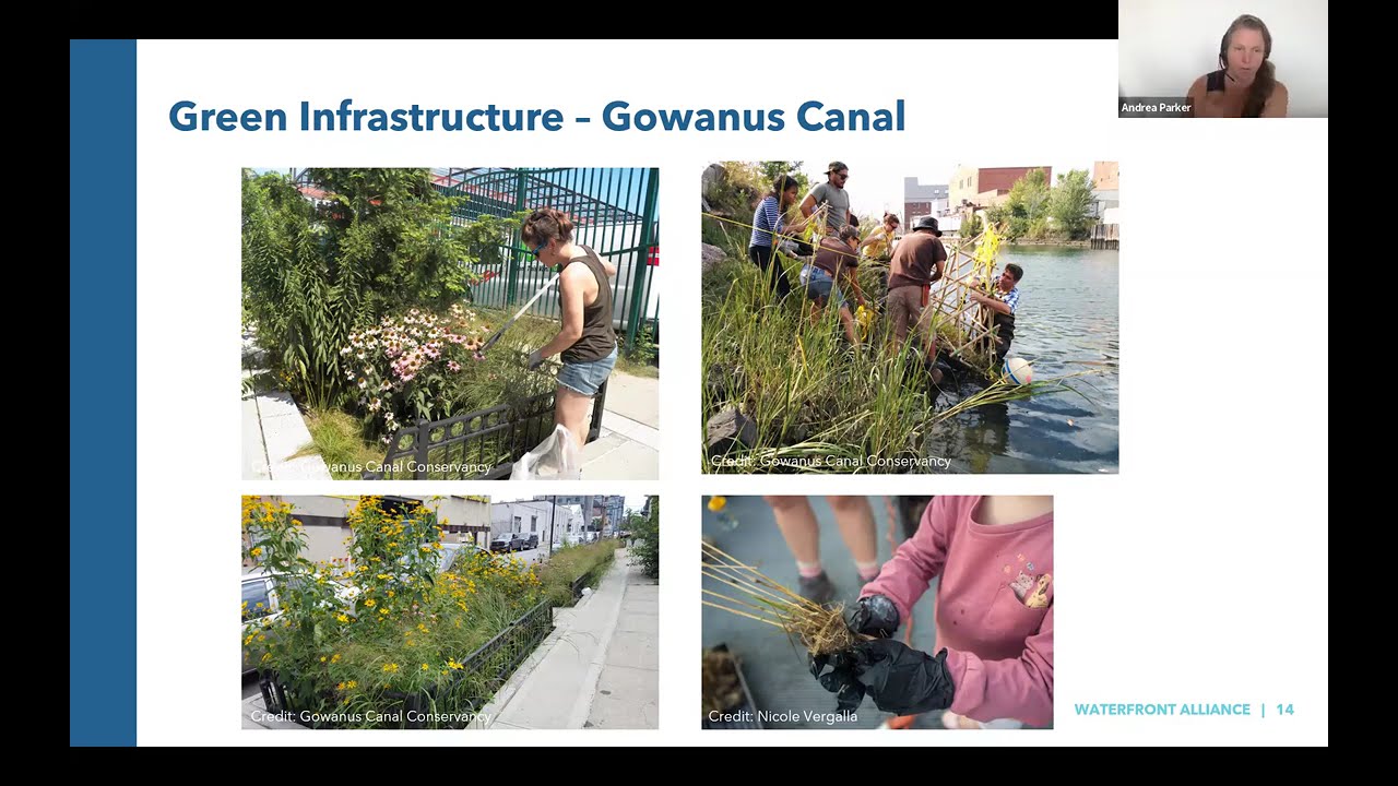 From Planting to Performance: Monitoring in Green Infrastructure for Climate Resilience