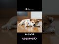 あの……