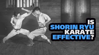 Shorin ryu karate: is it effective? screenshot 1