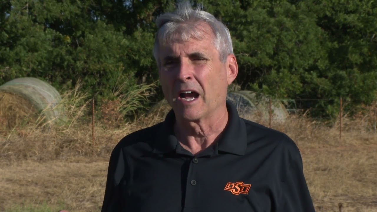 2022 Wheat Planting: Should you worry about armyworms yet?