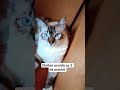 Cleiton acorda todo mundo as 5 da manhã