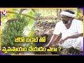 Natural Farming: Vikarabad Farmer Vijay Ram Natural Farming Tips | Zero Budget Farming | V6 News