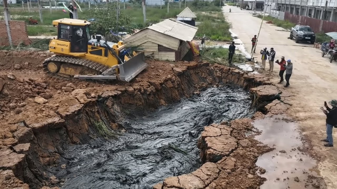 Shantui Bulldozer Pushing Soil Bury Dirty Mud With 25T Dump Trucks And Excavator 
