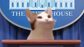 Pop Cat Meme Compilation 2 Pop Cat Meme Compilation 2