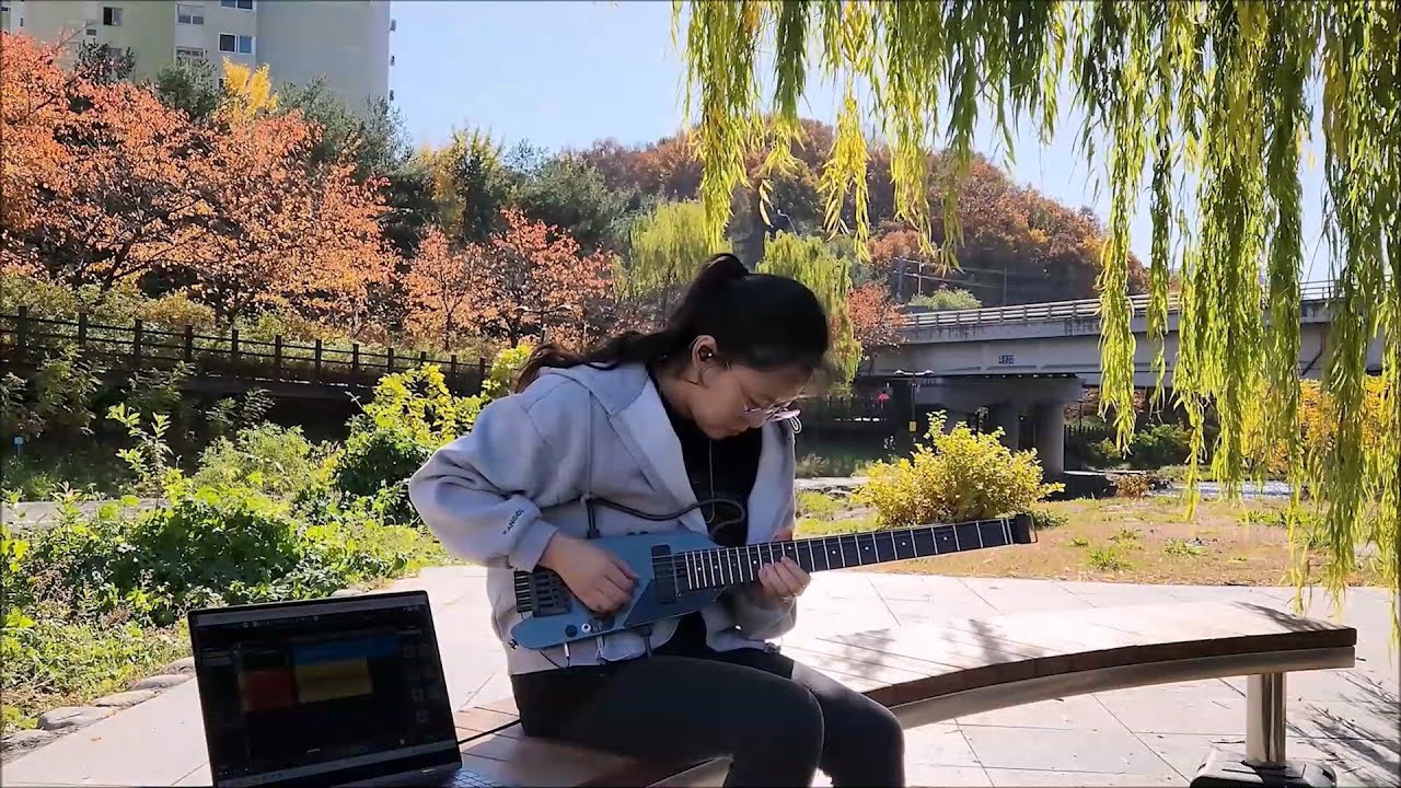 Donner HUSH™ X PRO 휴대용 기타 Electric Guitar Review - Demo by Bora