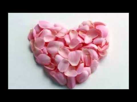 أنشودة نعم لابد من حب M