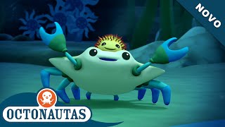 Octonautas - O Caranguejo & O Ouriço Episódio Inteiro 18 Primeira Temporada