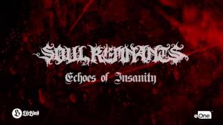 Soul Remnants - Echoes Of Insanity