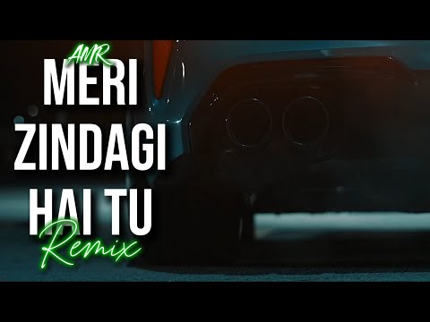 AMR - Meri Zindagi Hai Tu (Remix)