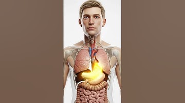 What Happens Inside Your Body When You Eat a Banana? (3D Anatomy) #aiart