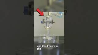 What is pythagoras cup 😱#shortsfeed #facts #shorts #viral