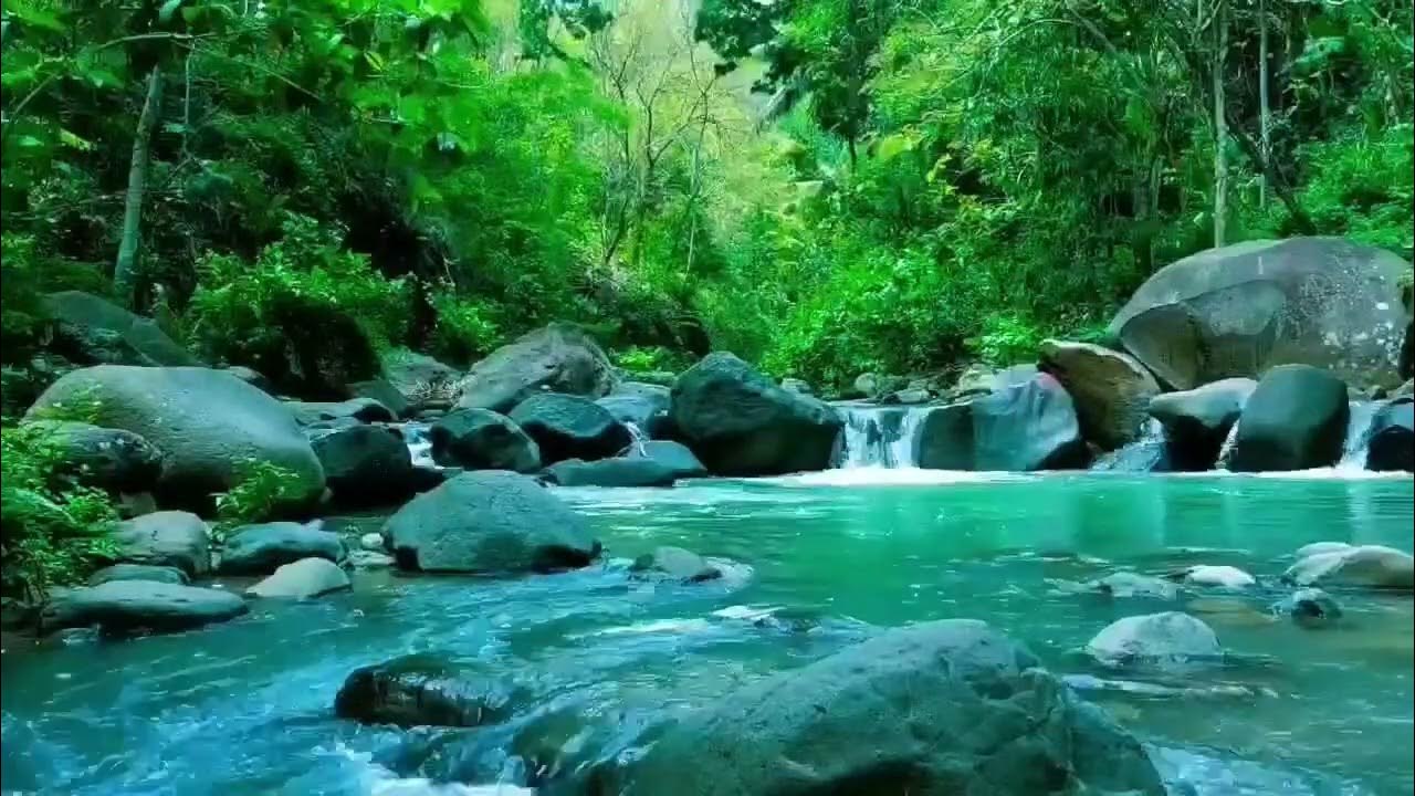 Deep Sleep River Sounds – Gentle Water Flow and Forest Ambience for Restful Sleep Deep Sleep River Sounds – Gentle Water Flow and Forest Ambience for Restful Sleep