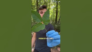 You’ve been lied to about this plant