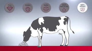 Adisseo – Selisseo Video