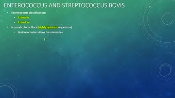 Microbiology Presentation Video 7