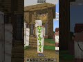 My town#minecraft#shorts