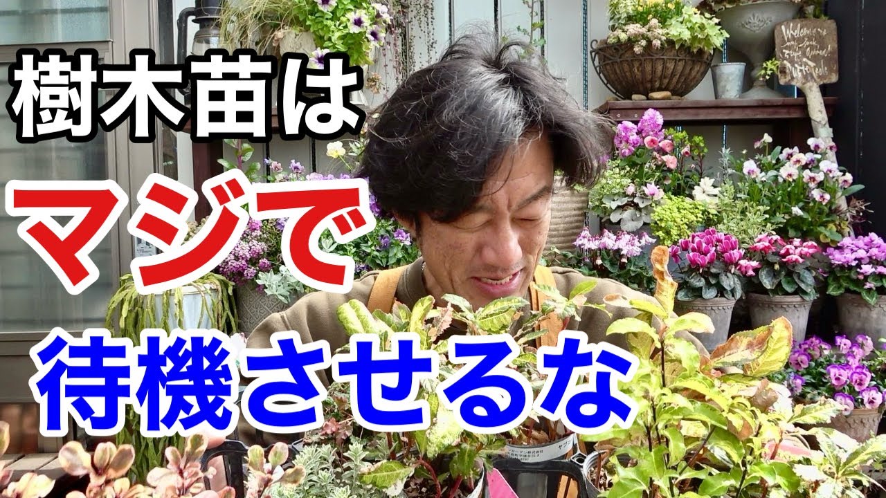 今現在植えれてない人はまずはこれ見て！　【園芸超人カーメン君】