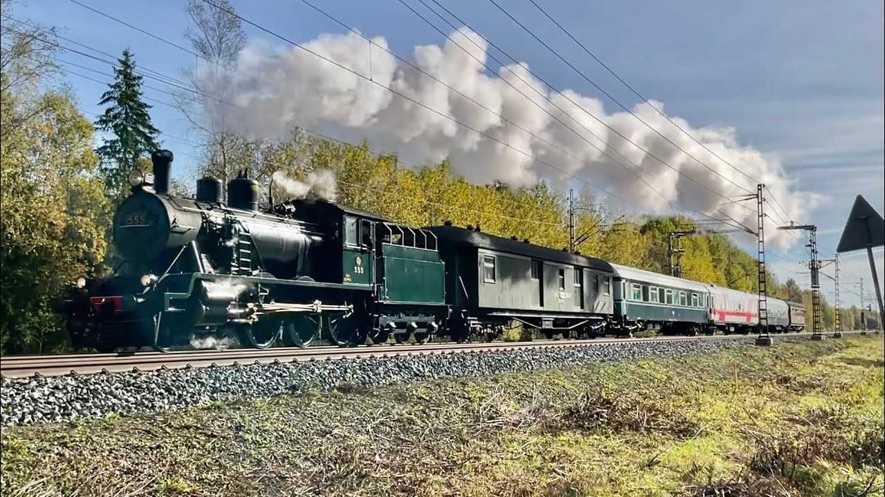 Miljoonan näyttökerran spesiaali: Vuoden 2025 museojunia