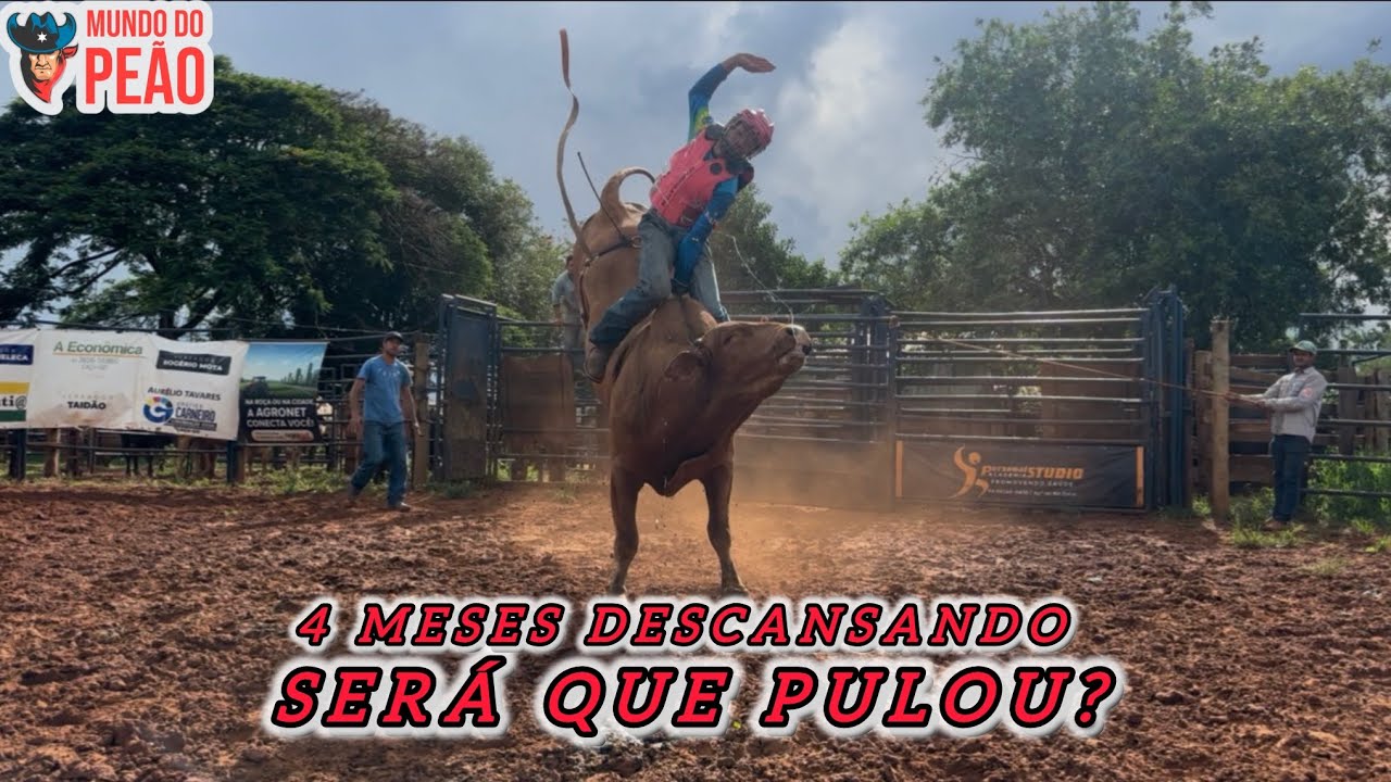 TREINANDO E CASQUEANDO O TOURO DE RODEIO
