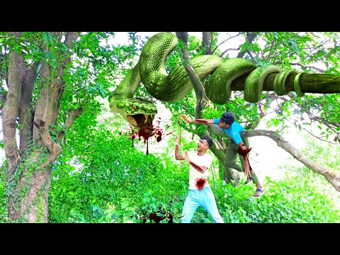 Anaconda Snake 6 in Real Life HD Video || snake video || Snake || Anaconda