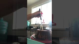 Volcano Cake Artistry Gone Wrong During Cutting