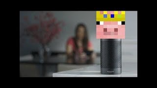 Amazon Echo: Technoblade Edition