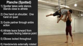 Ring Thing (Planche - Spotted)