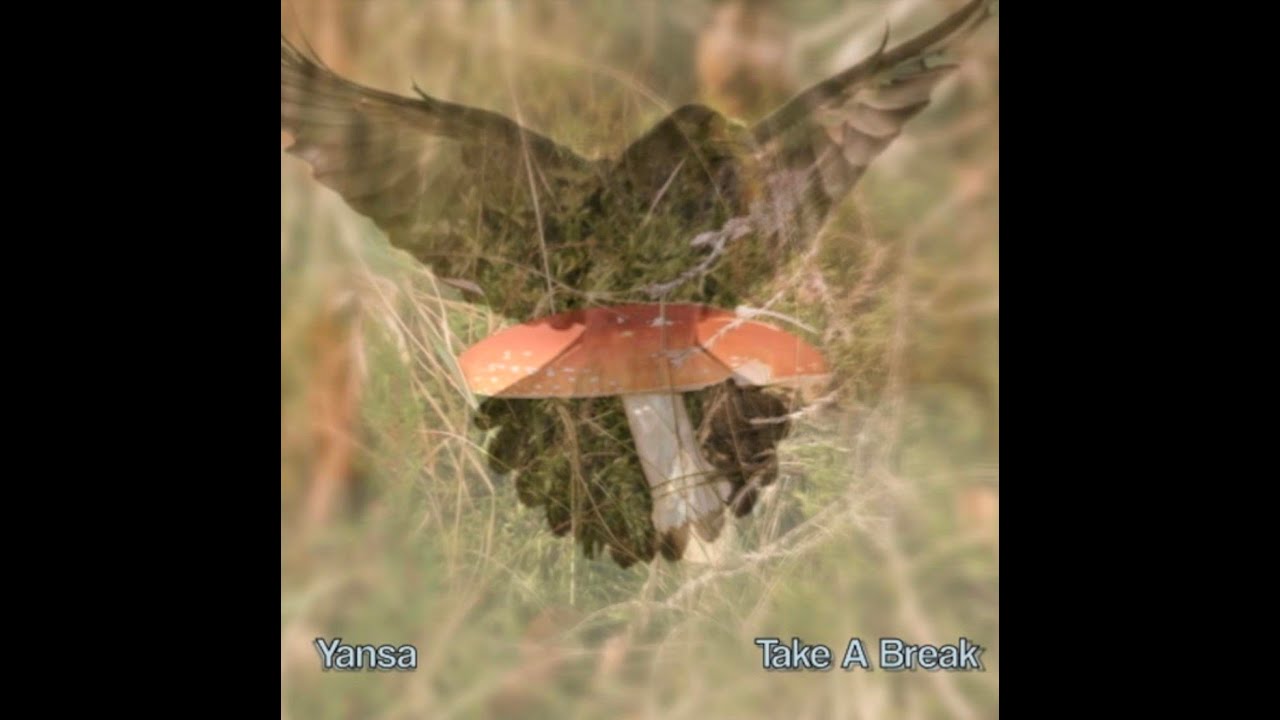 Yansa - The Ghosts, The Wind & The Raven