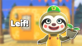 All about Leif in New Horizons!