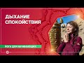 Йога для начинающих. Комплекс «Дыхание спокойствия». Алла Долгова