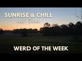 Tracee Loran is live! | Sunrise &amp; Chill with Tracee 🌅 | Word of the Week: Ameliorate 🌱