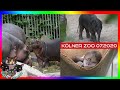 Kölner Zoo 2020 der Rundgang