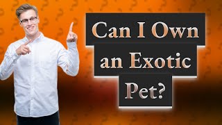 Can I Own an Exotic Pet? The 25 Cutest Options!