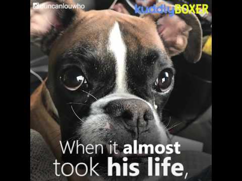 video editing software free Duncan