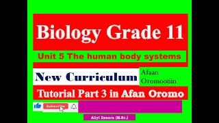 New Curriculum Biology Grade 11 Unit 5 The human body systems Tutorial part 3 in Afan Oromo